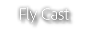 Fly Cast