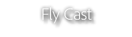 Fly Cast