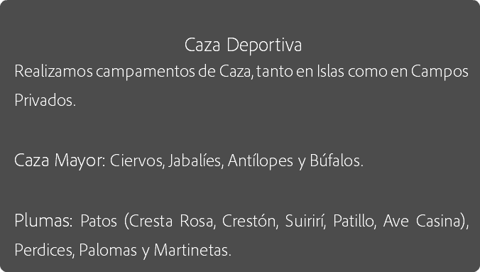 
Caza Deportiva
Realizamos campamentos de Caza, tanto en Islas como en Campos Privados. Caza Mayor: Ciervos, Jabalíes, Antílopes y Búfalos. Plumas: Patos (Cresta Rosa, Crestón, Suirirí, Patillo, Ave Casina), Perdices, Palomas y Martinetas.