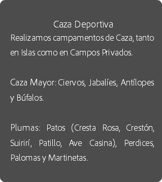 
Caza Deportiva
Realizamos campamentos de Caza, tanto en Islas como en Campos Privados. Caza Mayor: Ciervos, Jabalíes, Antílopes y Búfalos. Plumas: Patos (Cresta Rosa, Crestón, Suirirí, Patillo, Ave Casina), Perdices, Palomas y Martinetas.